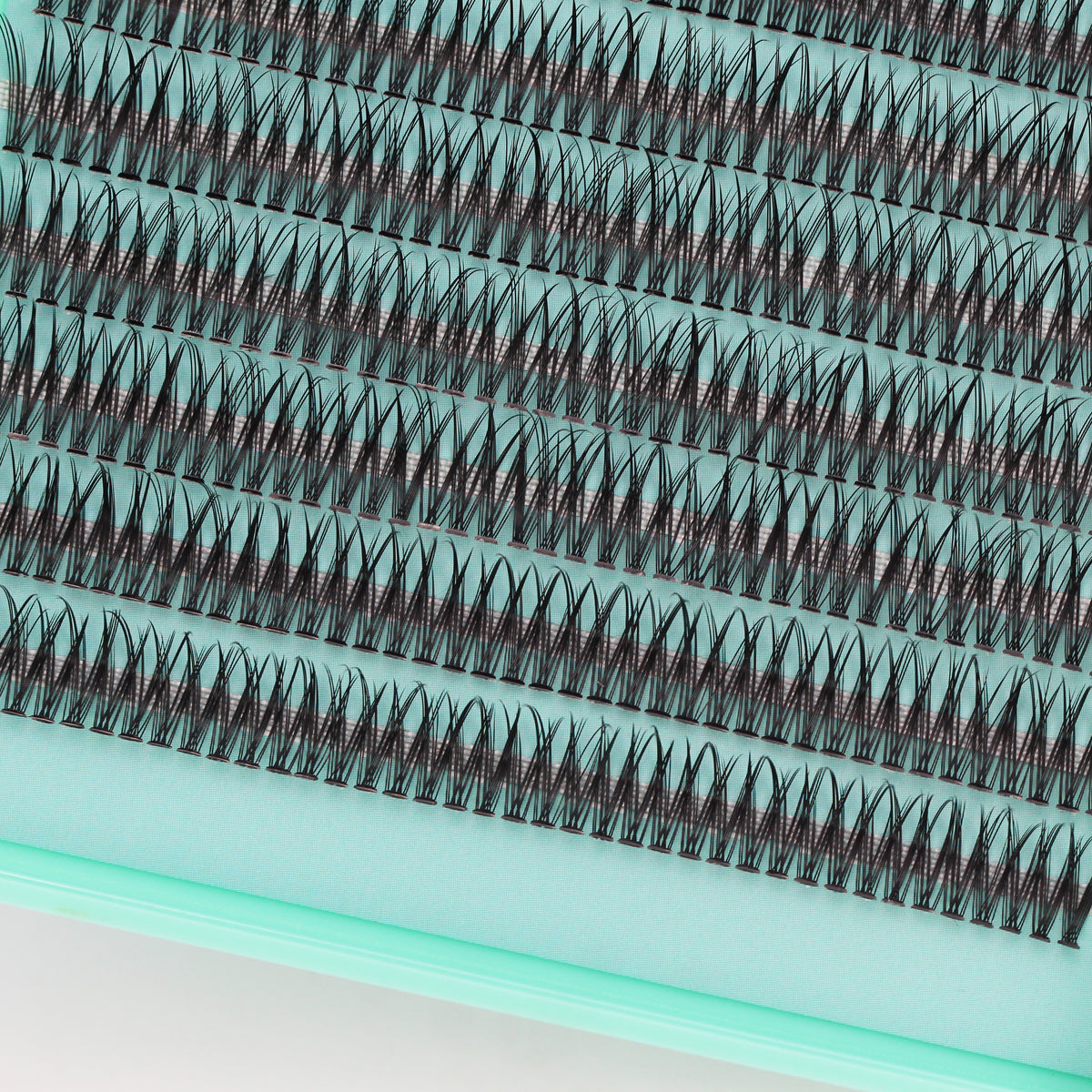 BODERMINCER 12D Fish Tail Lash Clusters D Curl Lash Clusters 480pcs 8-10-12-14-16mm Mixed Lash Kit
