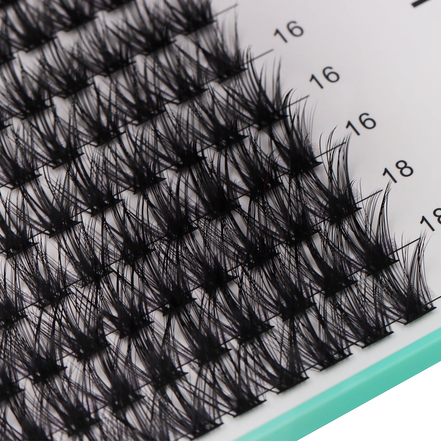 Bodermincer D Curl Black Lashes Clusters M02# 204pcs Per Tray 8-10-12-14-16-18mm Mixed Length
