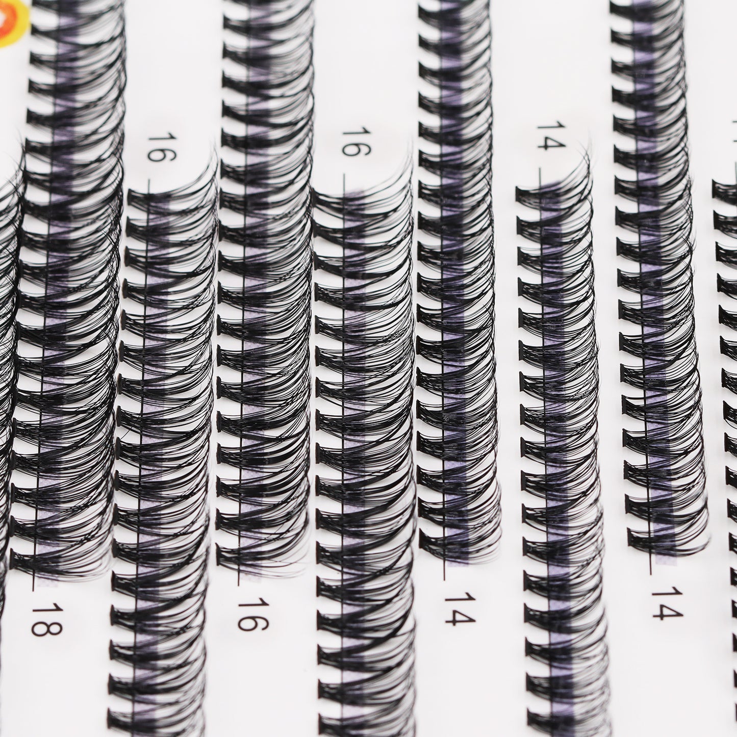 Bodermincer D Curl Black Lashes 20D 340pcs Per Tray 8-10-12-14-16-18mm Mixed