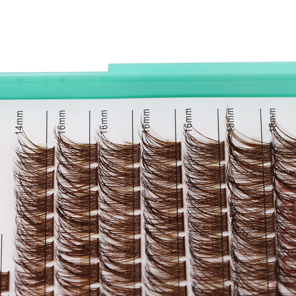 Bodermincer Color Brown Lashes Clusters M01# 204pcs Per Tray 10-12-14-16-18mm Mixed Length