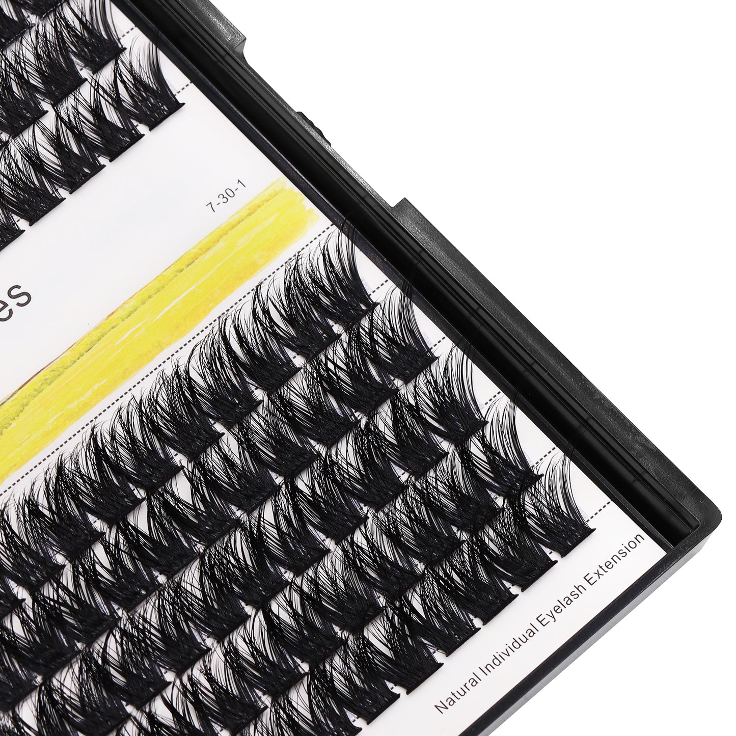 BODERMINCER T19# Lash Cluster