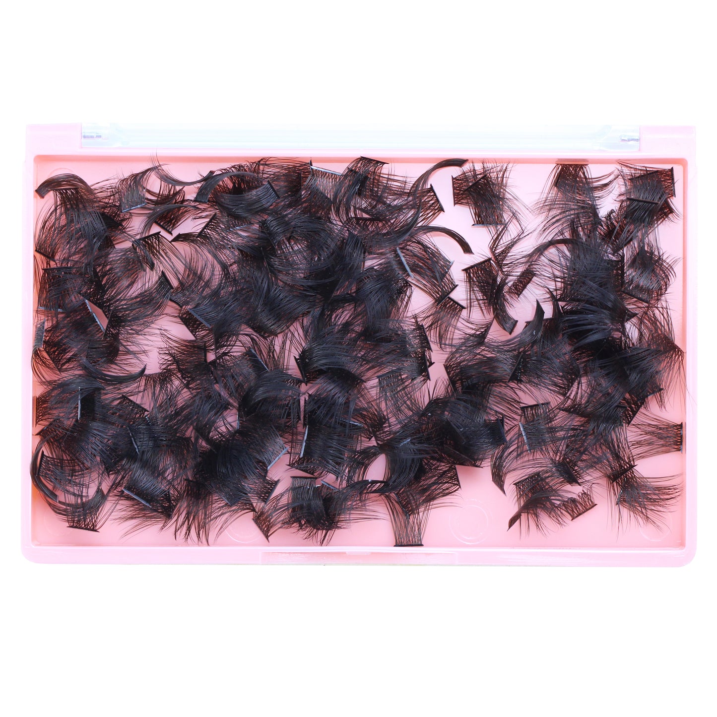 Bodermincer Color Brown D Curl 300pcs/500pcs/800pcs/1000pcs 2000pcs Per Pack Wholesale False Eyelashes Bulk