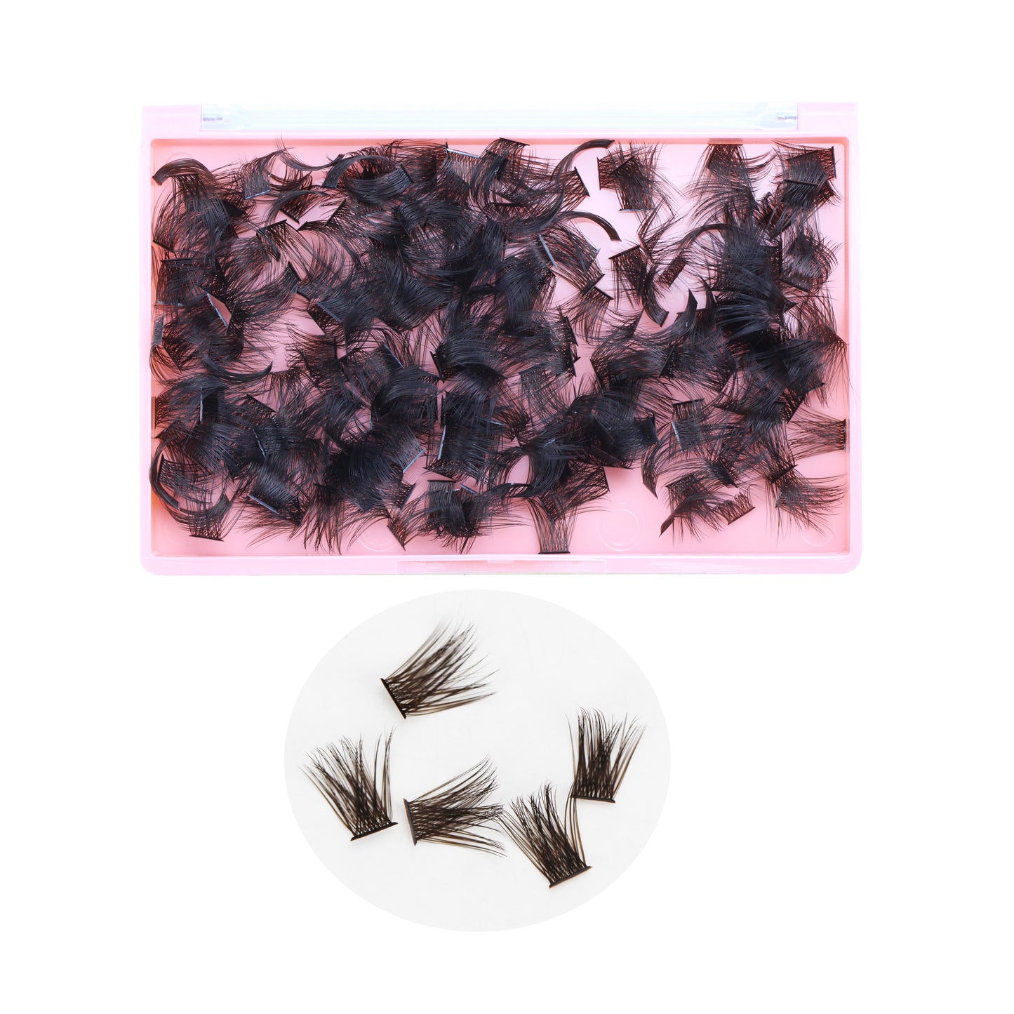 Bodermincer Color Brown D Curl 300pcs/500pcs/800pcs/1000pcs 2000pcs Per Pack Wholesale False Eyelashes Bulk