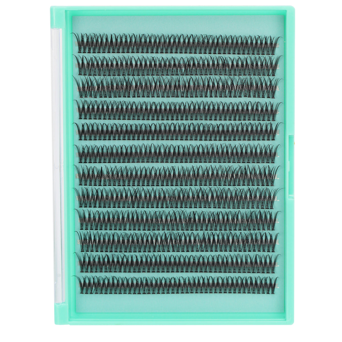 BODERMINCER 12D Fish Tail Lash Clusters D Curl Lash Clusters 480pcs 8-10-12-14-16mm Mixed Lash Kit