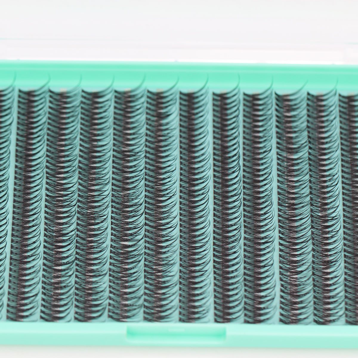 BODERMINCER 12D Fish Tail Lash Clusters D Curl Lash Clusters 480pcs 8-10-12-14-16mm Mixed Lash Kit