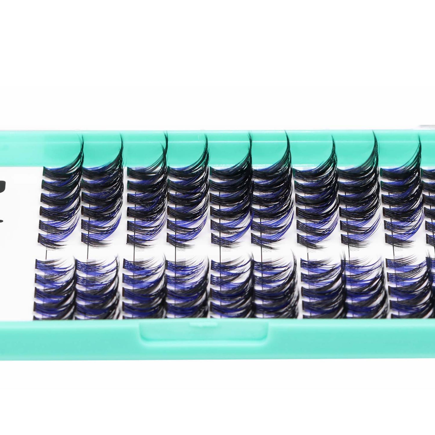 Bodermincer Cat Eyes Blue Black Mixed Lash Kit With Bond and Seal Lash Tweezers